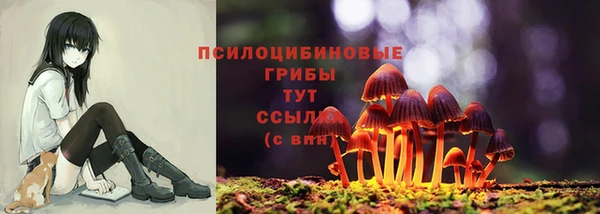 альфа пвп Беломорск