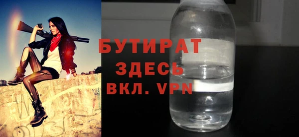 индика Инта