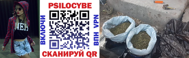 Галлюциногенные грибы Cubensis  Купить  Новозыбков 