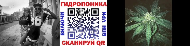 Купить где  Новозыбков  Каннабис семена 